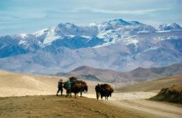 From “Silk Road” by Kishin Shinoyama